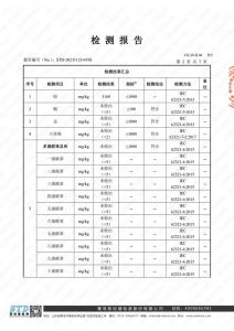 检测报告2